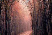 冠军奥运篇｜李雯雯：努力让梦想必达.