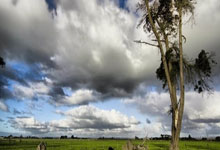 北京青年报官网1小时前.