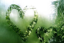 旺财28官网：第十五届运动会足球项目男子16岁以下组资格赛第4轮赛果.