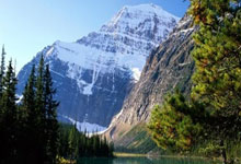 旺财28官网：2-1，21岁日本球星利剑出鞘，助昔日英超劲旅晋级足总杯第4轮.