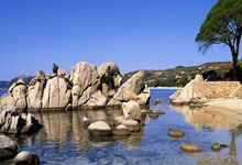 北京99-106浙江，赛后遭四个坏消息！曾凡博周琦有伤，二老自爆！.